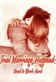 Trial Marriage Husband： Need to Work Hard